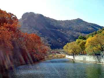 管家婆黑白马报图库，繁峙县种子代理